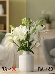 2025 New type LED curved surface spotlights, anti-glare downlights, living room and bedroom ceiling lights for indoor lighting